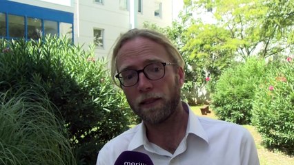 Martigues : « fixer » les chèvres sauvages dans la colline