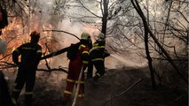 Die Welt brennt - Ein Überblick über die verheerenden Waldbrände