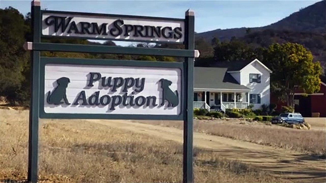 anúncios mais partilhados Budweiser Super Bowl XLVIII Commercial -- "Puppy Love"