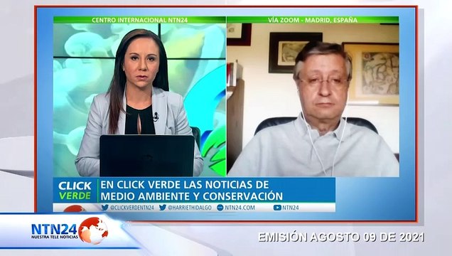 Pingüinos de la Antártida son las nuevas víctimas del micro plástico