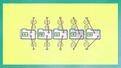 IBM Medicina: Soluções de Saúde Inovadoras