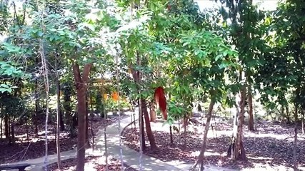 Dez minutos