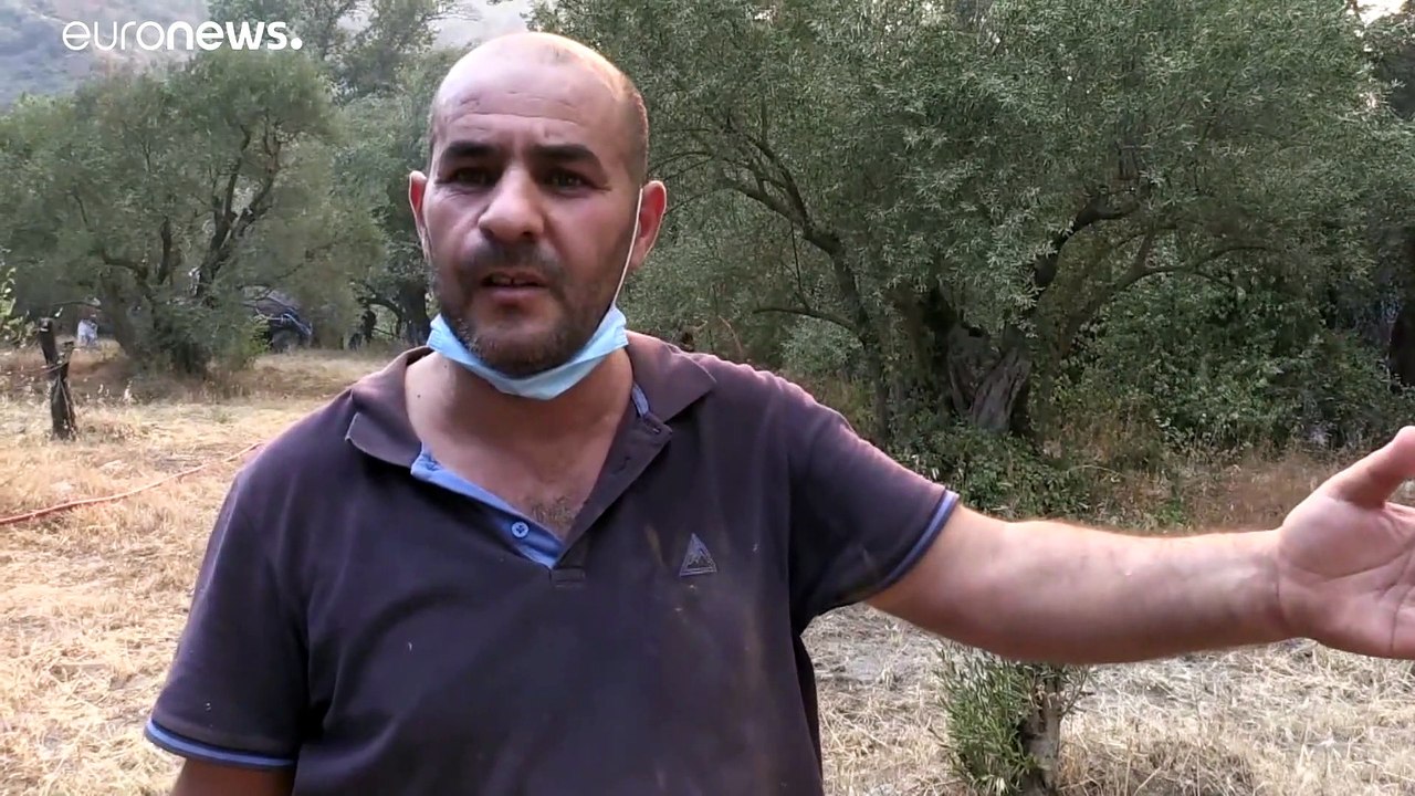 Стихийное бедствие на севере Алжира: десятки людей погибли в лесных пожарах