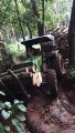 Amazing John Deere 5050 D 4WD Tractor With Trailer  | Biggest Wood Load  Pulling  | Zubair Menothil