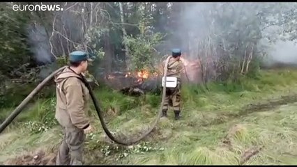 Los fuegos de Siberia queman una superficie similar a la de Países Bajos