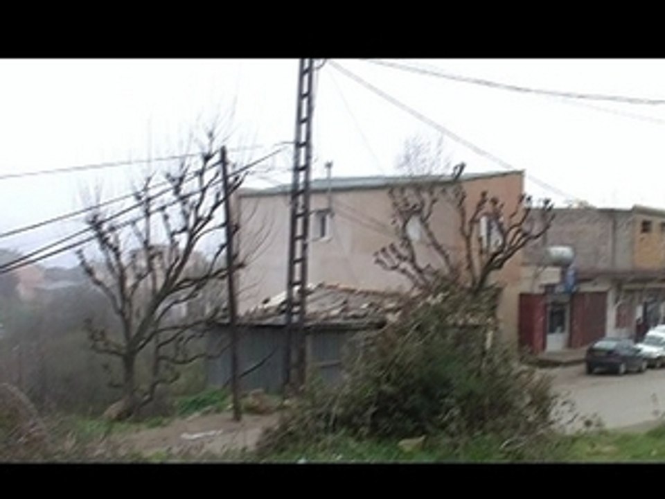 Akfadou 2008