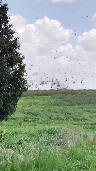 Whirlwind Develops in Hayfield