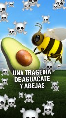 Nuestra obsesión con el aguacate amenaza a las abejas