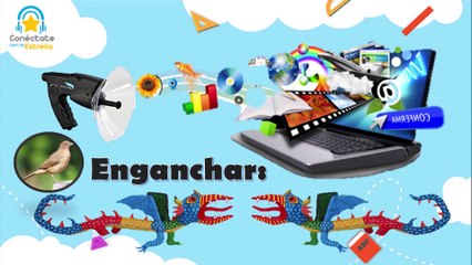 11° Media | Geografía 11-08-2021