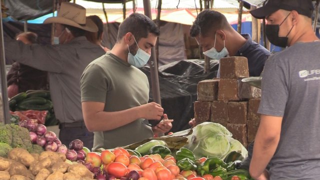 FAO advierte que 3,9 millones de hondureños están en algún grado de inseguridad alimentaria
