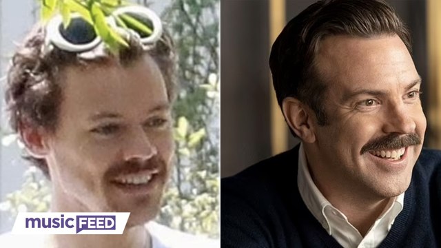 Fans Think Harry Styles Resembles Olivia Wilde's Ex With NEW Facial Hair!