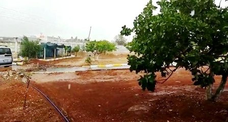 Şanlıurfa'da sel araçları sürükledi