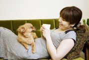 Study Suggests Our Dogs May Know When We Are Lying to Them