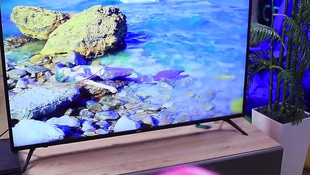 11 Ideas Lindas para Peinados / Probamos Trucos Virales de TikTok para el Cabello