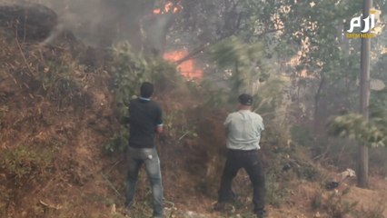 69 قتيلا في حرائق الغابات في الجزائر