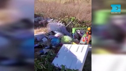 Un hombre grande…¿a usted le parece hacer esto?