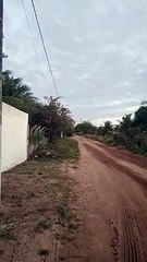 Acidente com cegonheira quase tira veículos mineiros do Rally dos Sertões