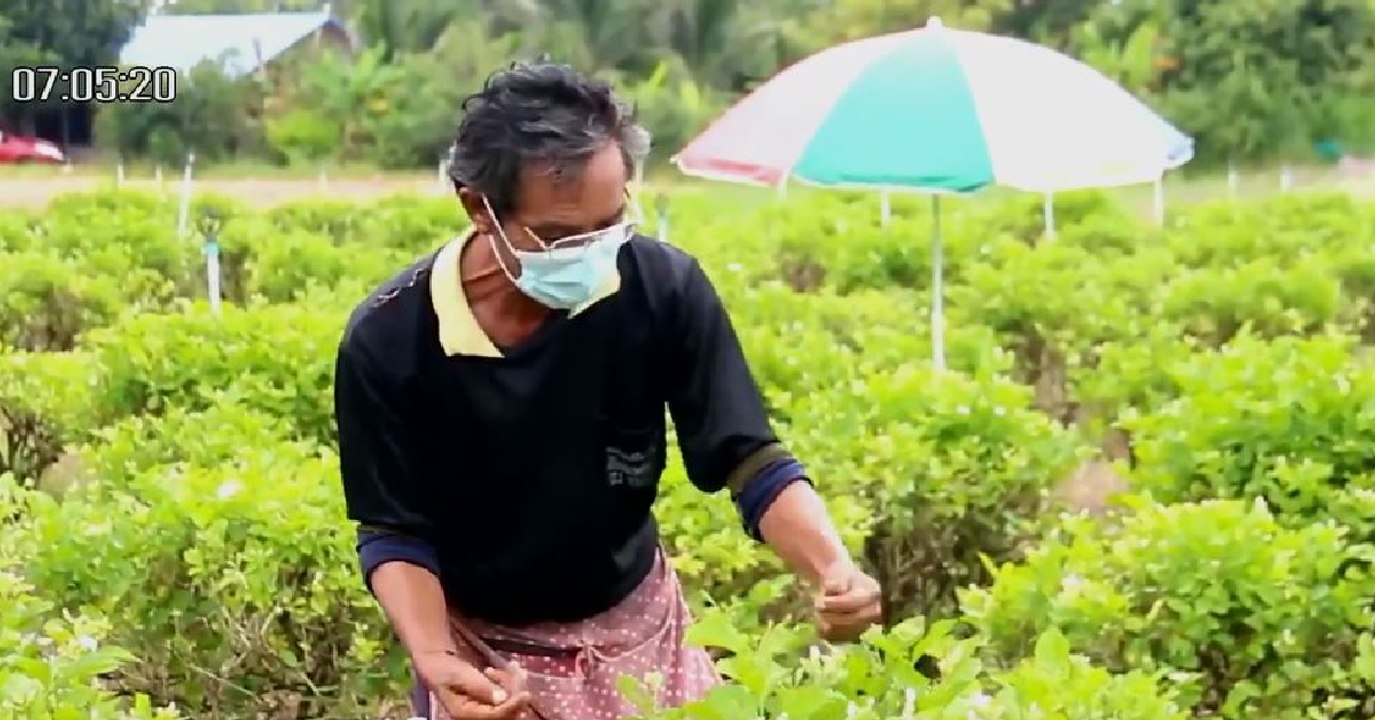 ข่าวเช้า ช่วงที่ 2 วันพฤหัสบดีที่ 12 สิงหาคม 2564