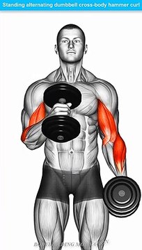 STANDING ALTERNATING DUMBBELL CROSS BODY HAMMER CURL | EXERCISE DATABASE & LIBRARY | BODYBUILDING MOTIVATION