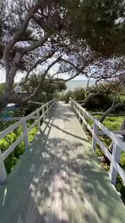 Walking on  dangerous bridge