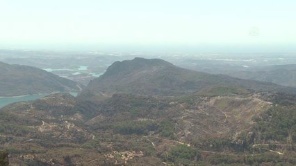 Son Dakika | (DRONE) Manavgat'ta çıkan orman yangınında hasar gören alanlar görüntülendi