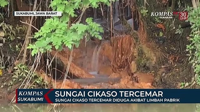 Sungai Cikaso Tercemar Diduga Akibat Limbah Pabrik
