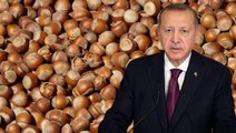 Cumhurbaşkanı Erdoğan bizzat açıkladı! Bu yıl Giresun fındığı 27 liradan, levant fındık 26,5 liradan alınacak