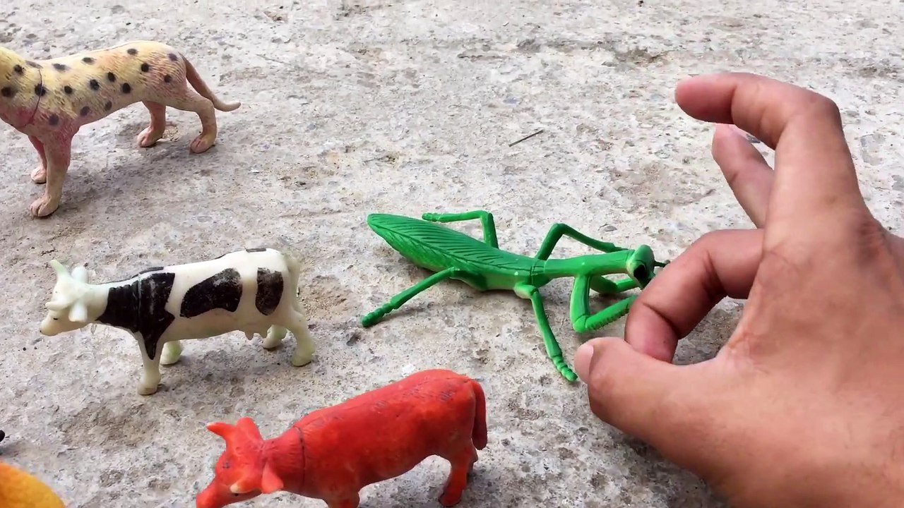 Animals farm collection - defferent animal collect - zoo toys animals - wild life zoo