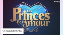 Les Princes de l'amour : Un candidat phare est papa, son bébé a frôlé la mort