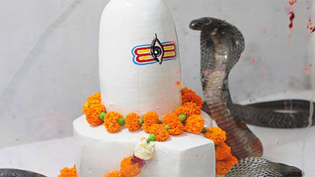 Nag Panchami 2021: इस दिन ज़रूर करें ये चीज़ें दान, होगी मनोकामना पूरी | Naag Panchami Daan |Boldsky