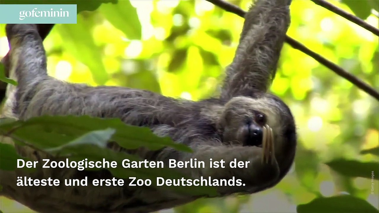 Die schönsten Zoos Deutschlands