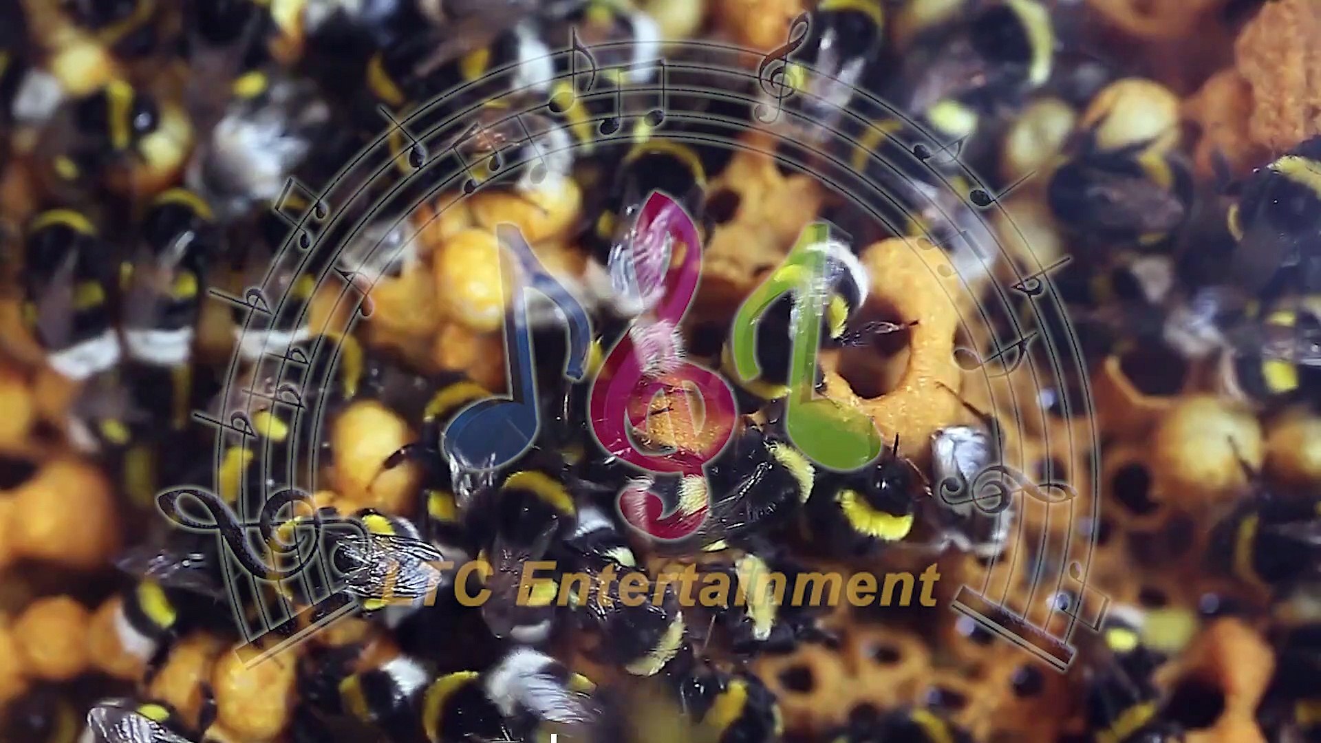 The Flight Of The Bumble-Bee - Music composed by Li jun Chang