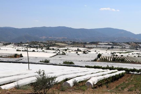 Üzümün merkezi Sarıgöl Ovası beyaz örtüye büründü