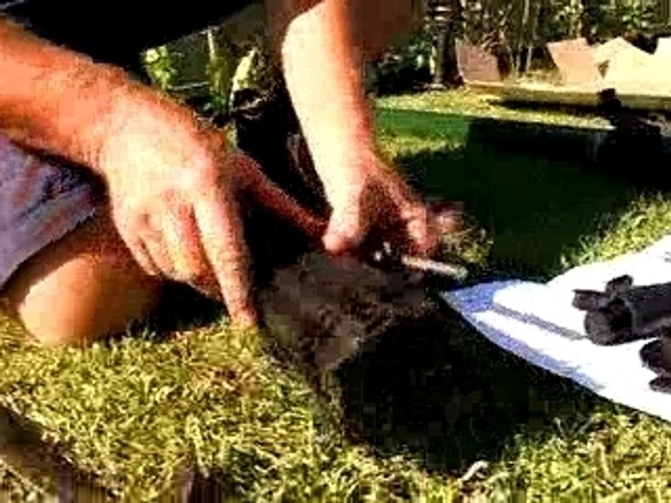 How To Install a Rotary Clothes Line
