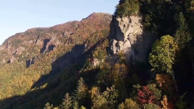 Refreshing Study Music To Concentrate - Music for Studying,Concentration and Memory