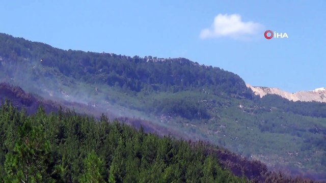 Bucak yangını kontrol altında