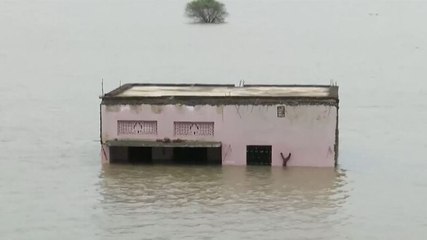 Flood wreaks havoc in UP's Hamirpur