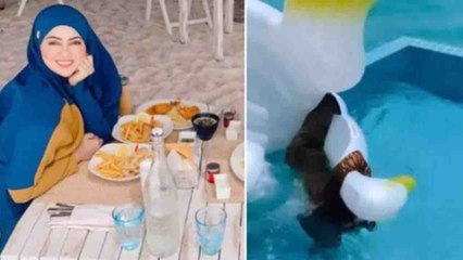 Sana Khan Swimming Pool में मस्‍ती करती आईं नजर,   Share किया मजेदार Video | FilmiBeat