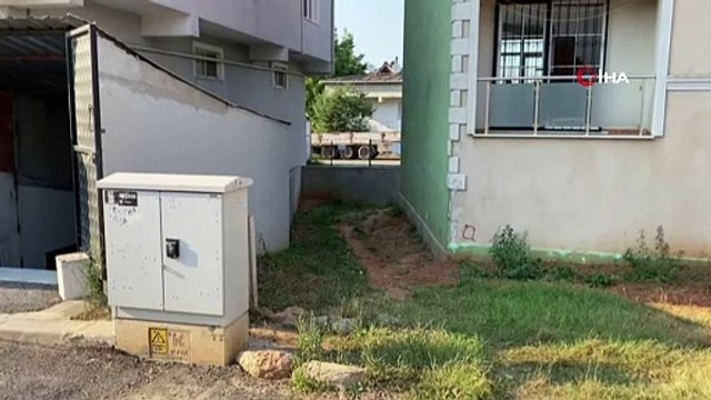 Sokak köpeğini öldüresiye döven adamın cezası belli oldu