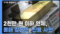 2천만 원 이하 연체, 올해 안에 갚으면 '신용 사면'...