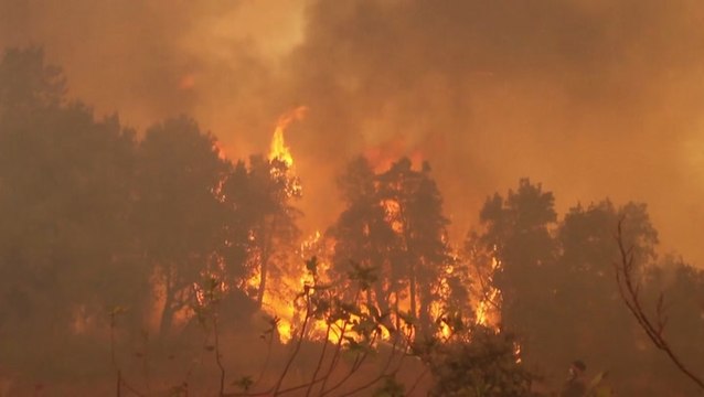Firefighters, volunteers battle deadly wildfire in Algeria