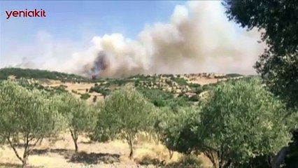İzmir'de korkutan yangın! Çok sayıda ekip sevk edildi