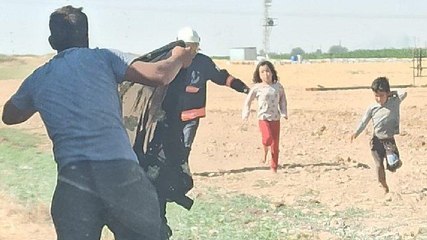 Akılalmaz olay: Şanlıurfa’da arılar aileye saldırdı