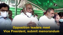 Opposition leaders meet Vice President, submit memorandum