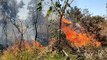 Corpo de bombeiros combatem incêndio em reserva ecológica no Guará