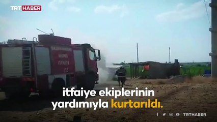 Arıların saldırısına uğrayan ailenin yardımına itfaiye koştu