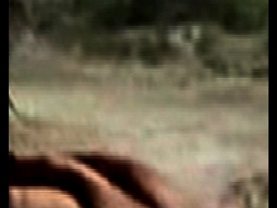 DeLaBoue