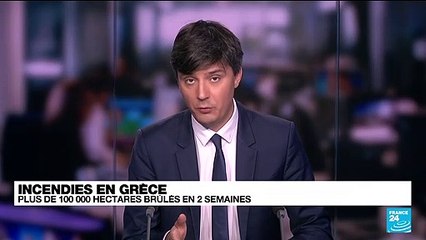 Incendies en Grèce : plus de 100 000 hectares brûlés en deux semaines