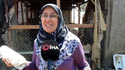 Son dakika haberleri: Manavgat'ta canı pahasına yangından küçükbaş hayvanlarını kurtardı: "Keçilerim yansa, vicdan azabından yaşayamazdım"