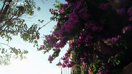 Puccini'nin ünlü Tosca operası, Castell de Peralada Festivali'nde yıldızların altında canlandı